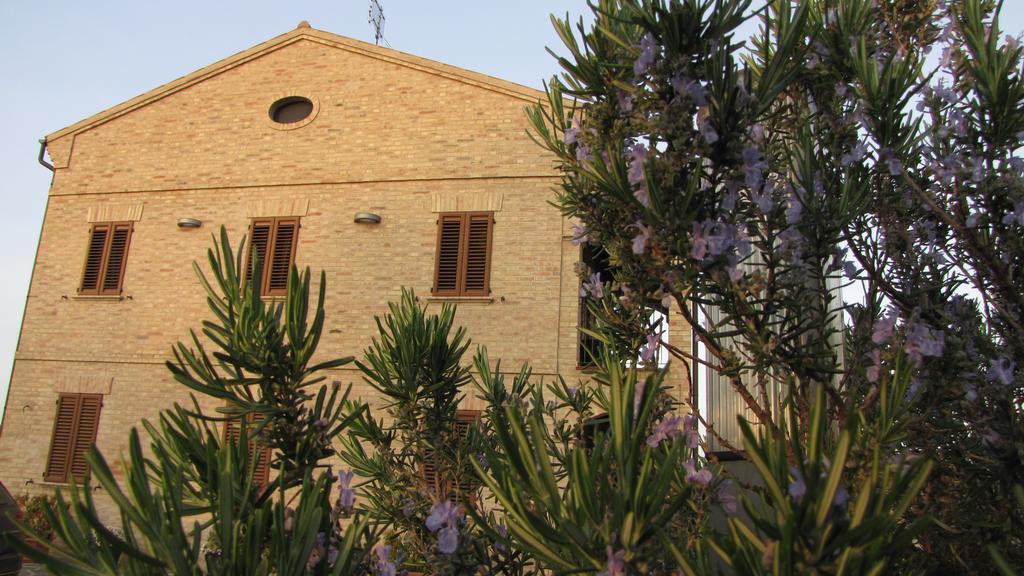 צ'יביטאנובה מארקה Bed And Breakfast Aratro & Rosmarino מראה חיצוני תמונה