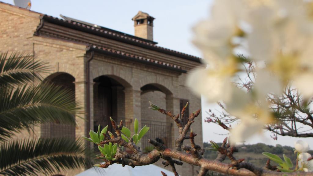 צ'יביטאנובה מארקה Bed And Breakfast Aratro & Rosmarino מראה חיצוני תמונה