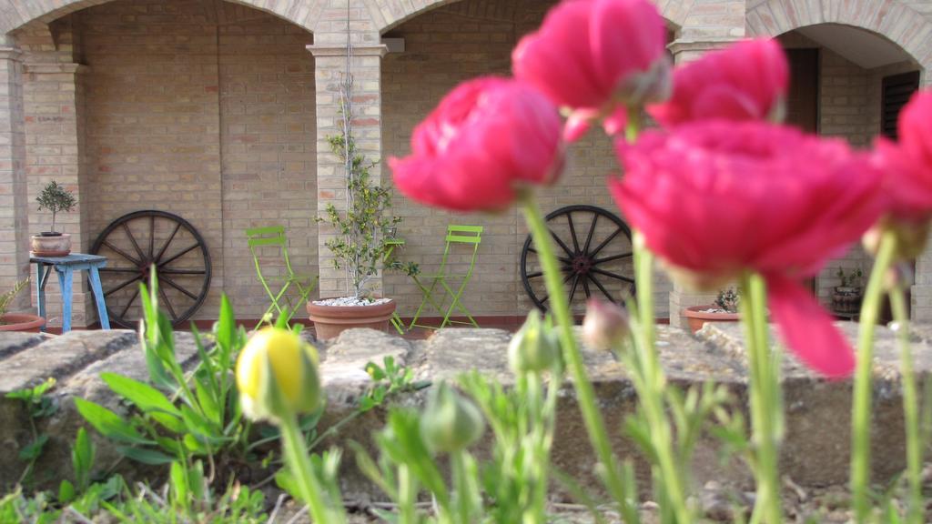 צ'יביטאנובה מארקה Bed And Breakfast Aratro & Rosmarino חדר תמונה
