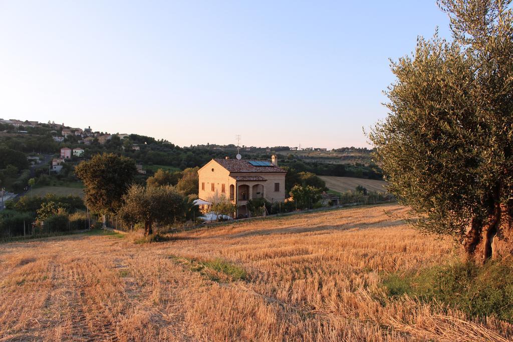 צ'יביטאנובה מארקה Bed And Breakfast Aratro & Rosmarino מראה חיצוני תמונה