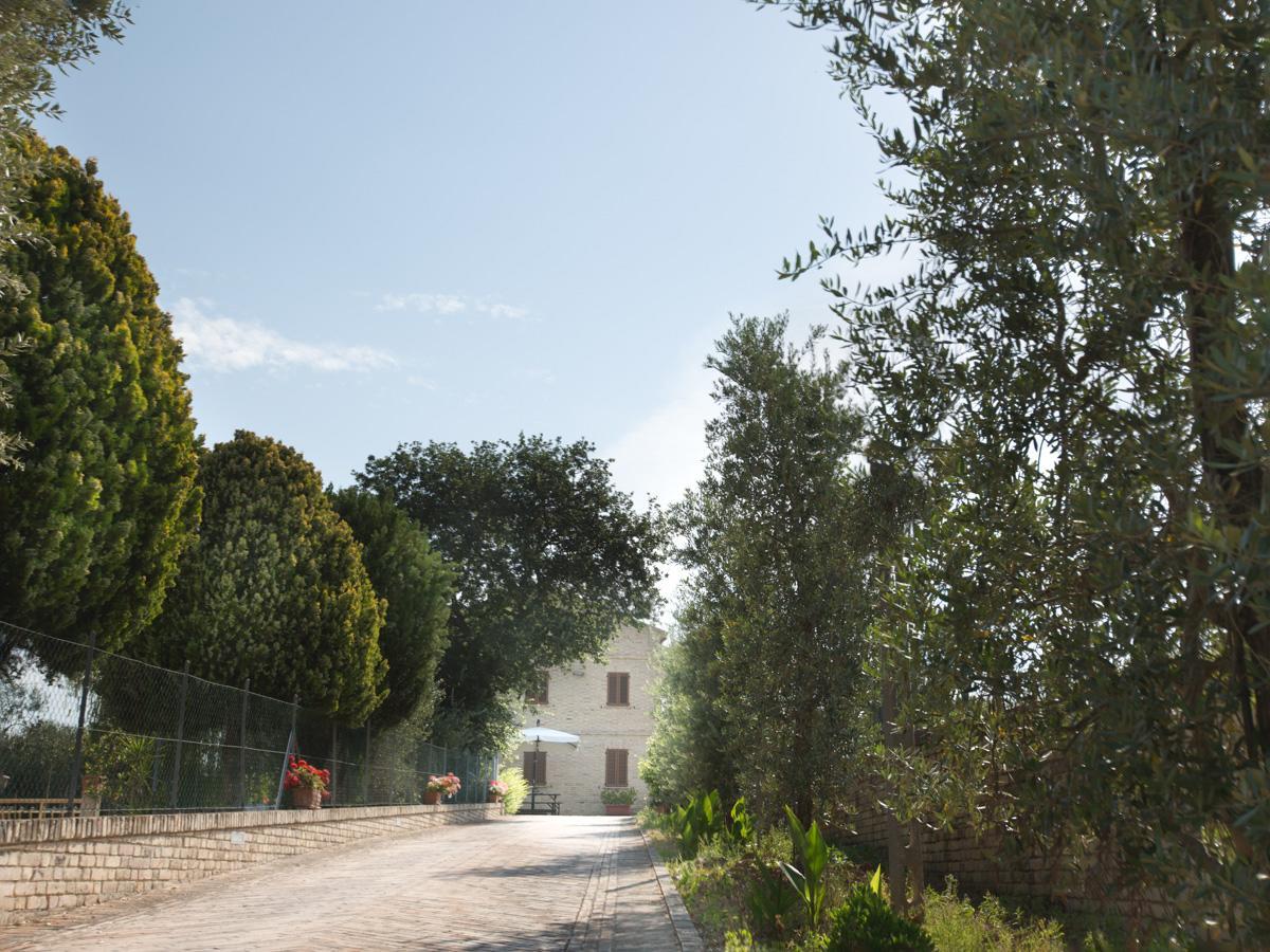 צ'יביטאנובה מארקה Bed And Breakfast Aratro & Rosmarino מראה חיצוני תמונה